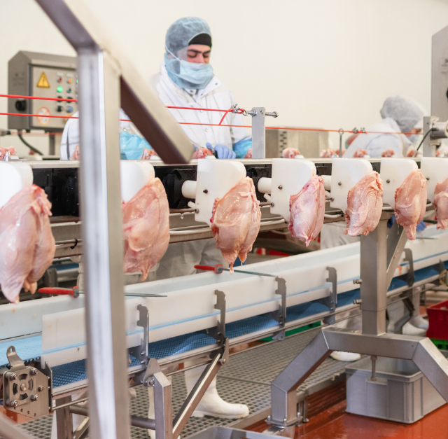 Poultry Disinfection Around the World: Why Accurate Water Testing is Essential