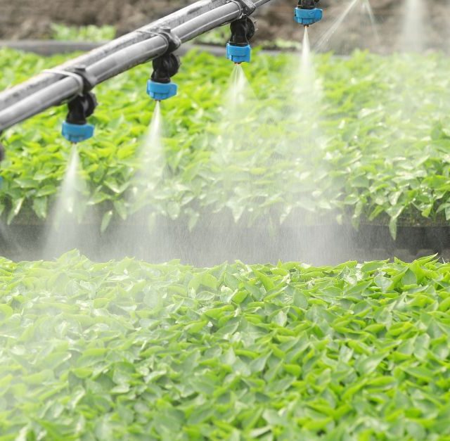 How Kemio Disinfection Delivers Reliable Testing for Post-Harvest Water Treatment